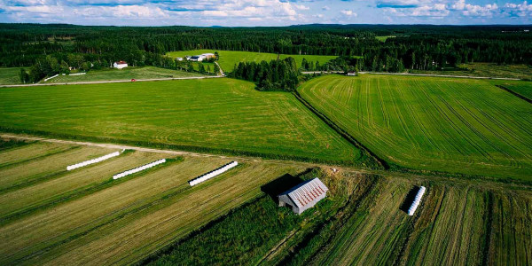 Estudios de suelos agrícolas en Lleida