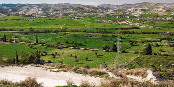 Estudios de suelos para agricultura en Lleida