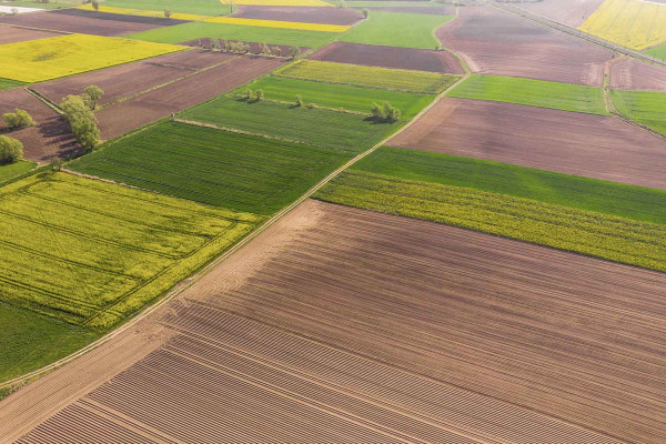 Estudios Edafológicos · Ingenieros Geotécnicos y Geofísicos Príncep de Viana - Clot